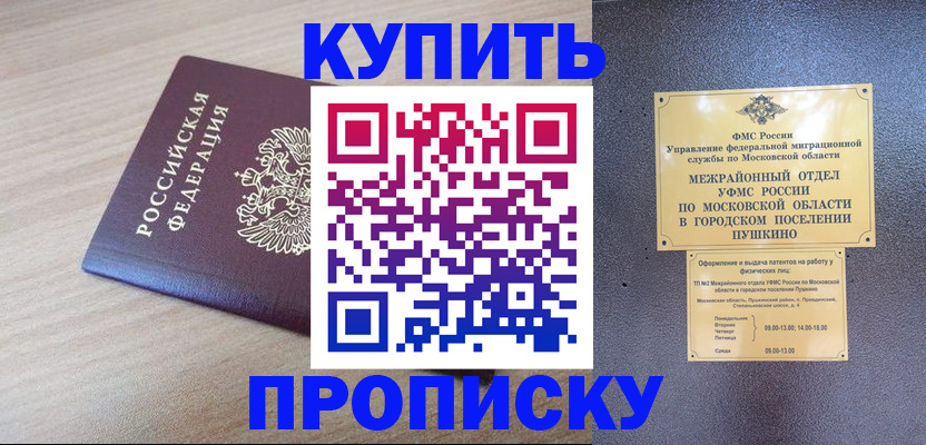 временная регистрация для всех в Камышлове